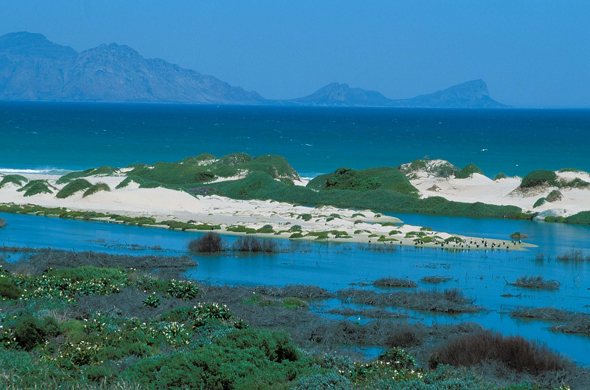 Südafrika 2004 13